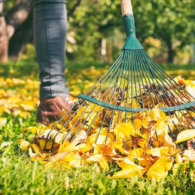 Vyhrabání listí